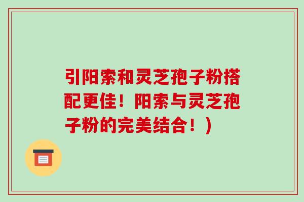 引阳索和灵芝孢子粉搭配更佳！阳索与灵芝孢子粉的完美结合！)