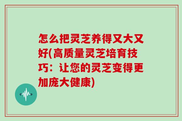 怎么把灵芝养得又大又好(高质量灵芝培育技巧：让您的灵芝变得更加庞大健康)