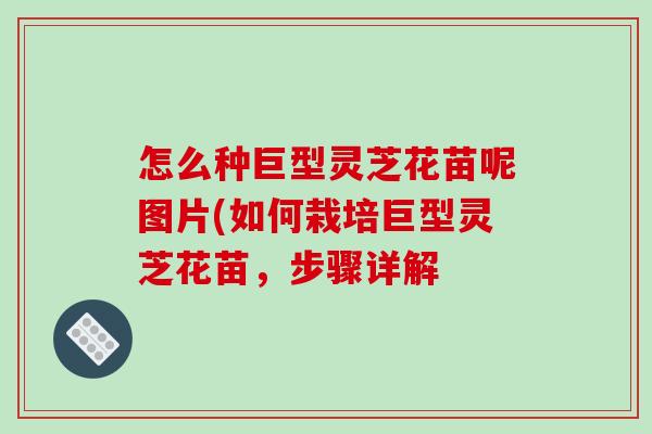 怎么种巨型灵芝花苗呢图片(如何栽培巨型灵芝花苗,步骤详解