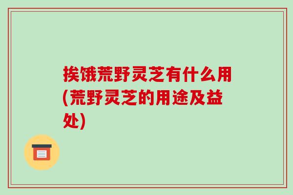 挨饿荒野灵芝有什么用(荒野灵芝的用途及益处)