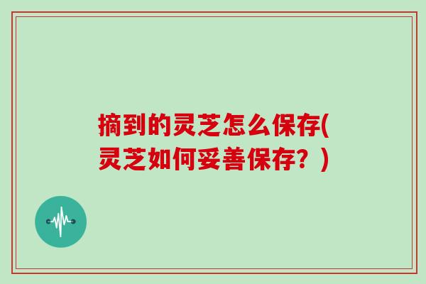 摘到的灵芝怎么保存(灵芝如何妥善保存？)
