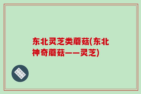 东北灵芝类蘑菇(东北神奇蘑菇——灵芝)