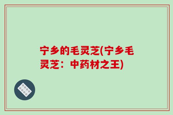 宁乡的毛灵芝(宁乡毛灵芝:中药材之王)