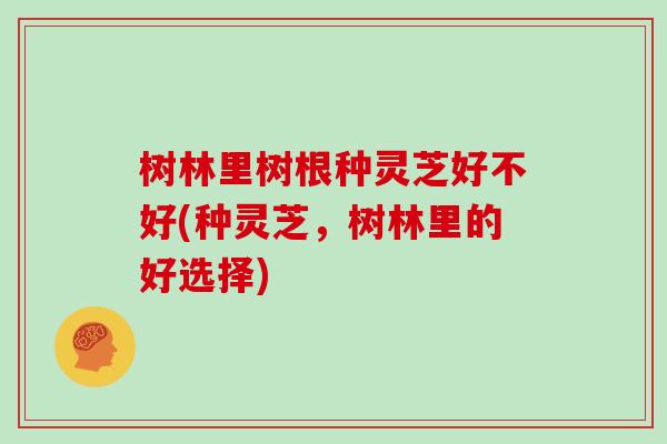 树林里树根种灵芝好不好(种灵芝,树林里的好选择)