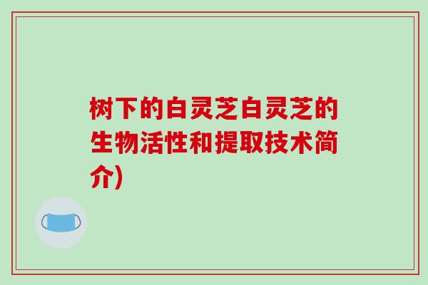 树下的白灵芝白灵芝的生物活性和提取技术简介)
