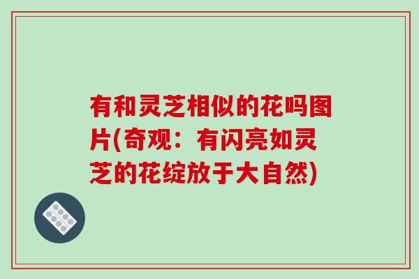 有和灵芝相似的花吗图片(奇观:有闪亮如灵芝的花绽放于大自然)