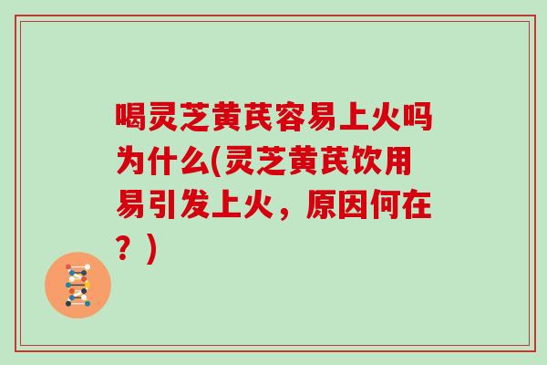 喝灵芝黄芪容易上火吗为什么(灵芝黄芪饮用易引发上火，原因何在？)