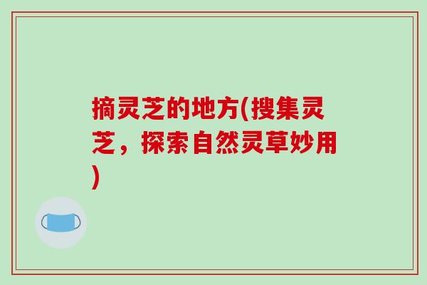 摘灵芝的地方(搜集灵芝,探索自然灵草妙用)