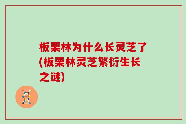 板栗林为什么长灵芝了(板栗林灵芝繁衍生长之谜)