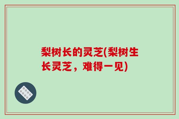 梨树长的灵芝(梨树生长灵芝,难得一见)