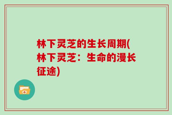 林下灵芝的生长周期(林下灵芝:生命的漫长征途)