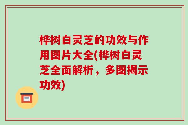 桦树白灵芝的功效与作用图片大全(桦树白灵芝全面解析，多图揭示功效)