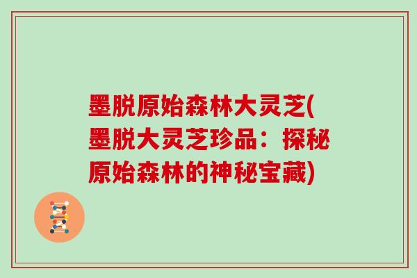 墨脱原始森林大灵芝(墨脱大灵芝珍品：探秘原始森林的神秘宝藏)