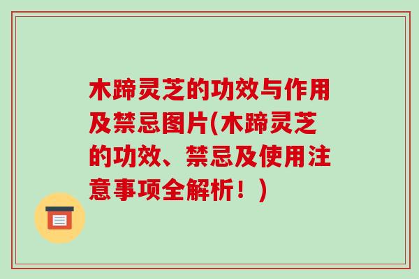 木蹄灵芝的功效与作用及禁忌图片(木蹄灵芝的功效、禁忌及使用注意事项全解析！)
