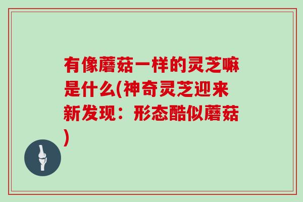 有像蘑菇一样的灵芝嘛是什么(神奇灵芝迎来新发现：形态酷似蘑菇)