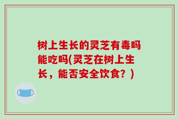 树上生长的灵芝有毒吗能吃吗(灵芝在树上生长,能否安全饮食?)
