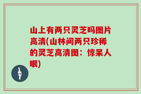 山上有两只灵芝吗图片高清(山林间两只珍稀的灵芝高清图:惊呆人眼)