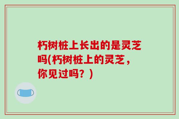 朽树桩上长出的是灵芝吗(朽树桩上的灵芝，你见过吗？)