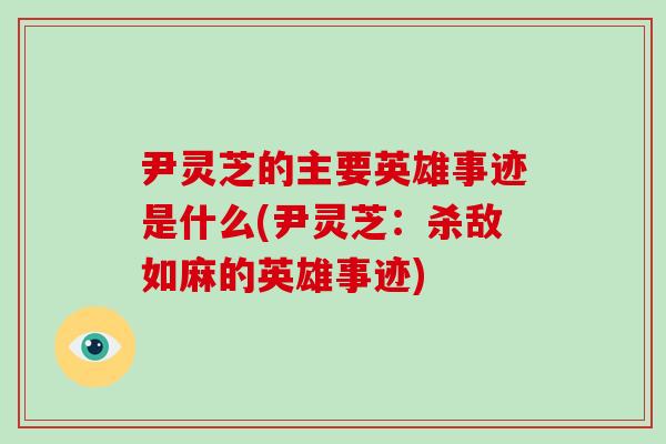 尹灵芝的主要英雄事迹是什么(尹灵芝:杀敌如麻的英雄事迹)