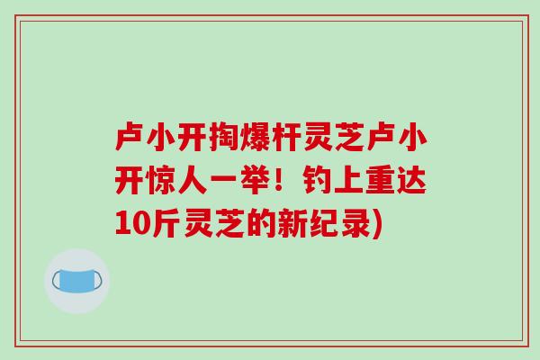 卢小开掏爆杆灵芝卢小开惊人一举!钓上重达10斤灵芝的新纪录)