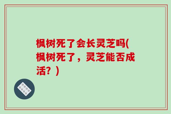枫树死了会长灵芝吗(枫树死了,灵芝能否成活?)