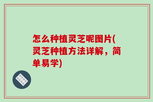 怎么种植灵芝呢图片(灵芝种植方法详解,简单易学)