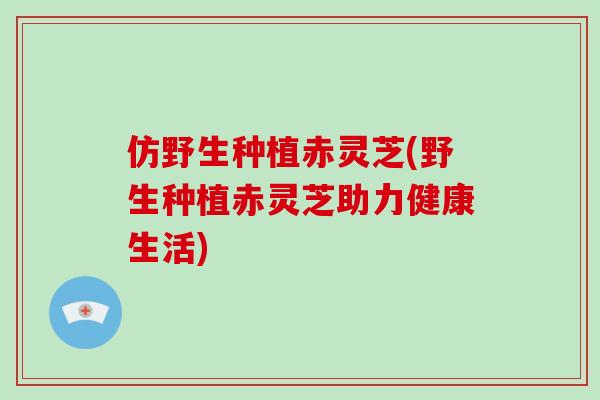 仿野生种植赤灵芝(野生种植赤灵芝助力健康生活)