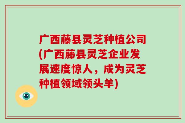 广西藤县灵芝种植公司(广西藤县灵芝企业发展速度惊人,成为灵芝种植领域领头羊)