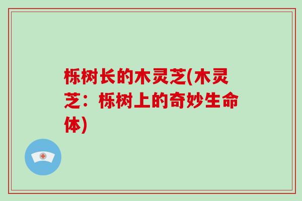 栎树长的木灵芝(木灵芝:栎树上的奇妙生命体)