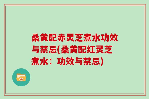 桑黄配赤灵芝煮水功效与禁忌(桑黄配红灵芝煮水:功效与禁忌)