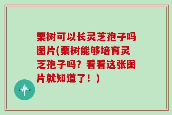 栗树可以长灵芝孢子吗图片(栗树能够培育灵芝孢子吗?看看这张图片就知道了!)