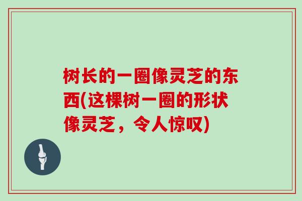 树长的一圈像灵芝的东西(这棵树一圈的形状像灵芝，令人惊叹)
