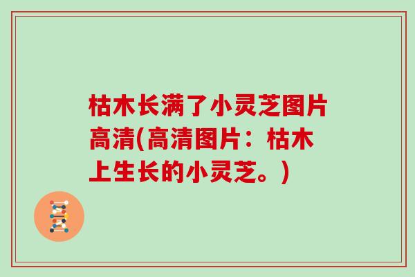 枯木长满了小灵芝图片高清(高清图片:枯木上生长的小灵芝。)