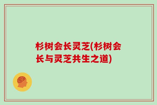 杉树会长灵芝(杉树会长与灵芝共生之道)