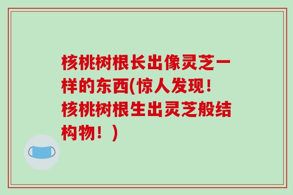 核桃树根长出像灵芝一样的东西(惊人发现！核桃树根生出灵芝般结构物！)