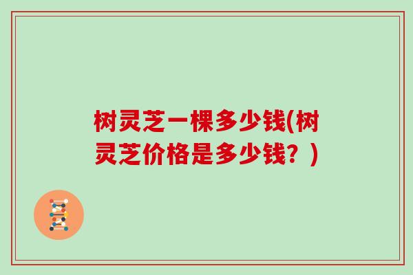 树灵芝一棵多少钱(树灵芝价格是多少钱？)