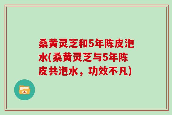 桑黄灵芝和5年陈皮泡水(桑黄灵芝与5年陈皮共泡水，功效不凡)