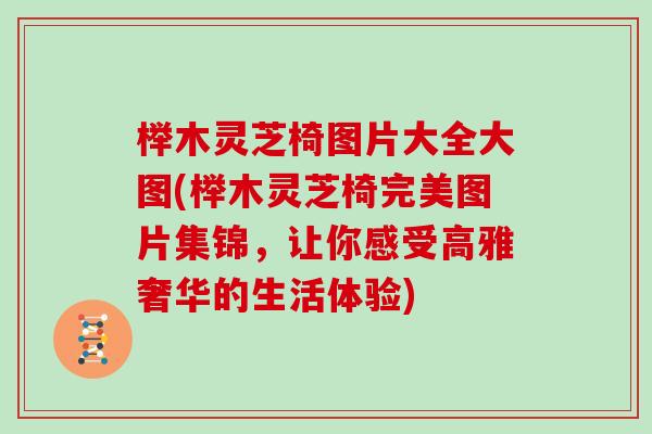 榉木灵芝椅图片大全大图(榉木灵芝椅完美图片集锦，让你感受高雅奢华的生活体验)