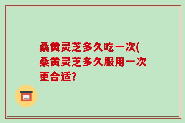 桑黄灵芝多久吃一次(桑黄灵芝多久服用一次更合适?