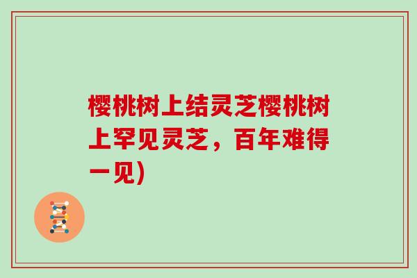 樱桃树上结灵芝樱桃树上罕见灵芝，百年难得一见)