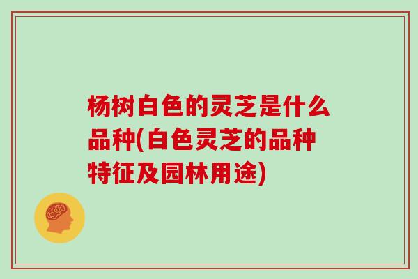 杨树白色的灵芝是什么品种(白色灵芝的品种特征及园林用途)