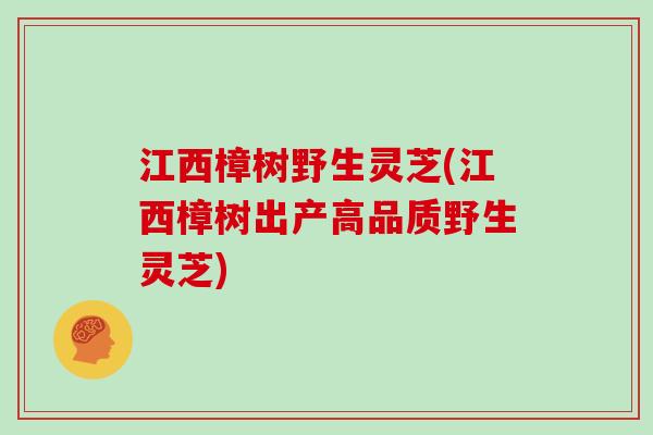 江西樟树野生灵芝(江西樟树出产高品质野生灵芝)