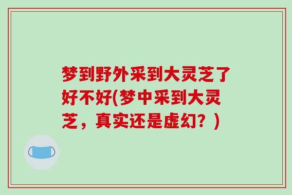 梦到野外采到大灵芝了好不好(梦中采到大灵芝,真实还是虚幻?)
