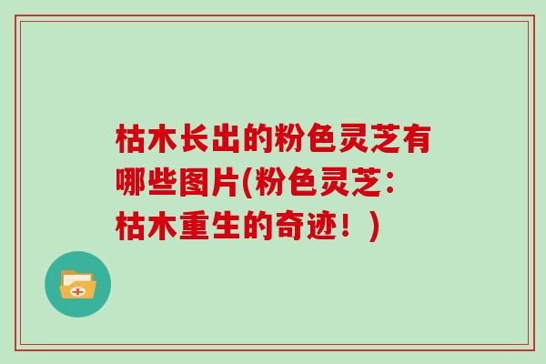 枯木长出的粉色灵芝有哪些图片(粉色灵芝:枯木重生的奇迹!)