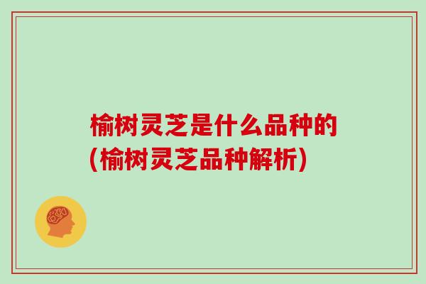 榆树灵芝是什么品种的(榆树灵芝品种解析)