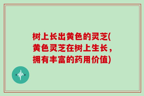 树上长出黄色的灵芝(黄色灵芝在树上生长,拥有丰富的药用价值)