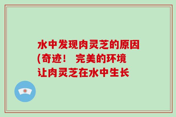 水中发现肉灵芝的原因(奇迹! 完美的环境让肉灵芝在水中生长