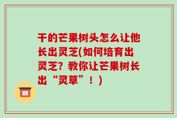 干的芒果树头怎么让他长出灵芝(如何培育出灵芝？教你让芒果树长出“灵草”！)
