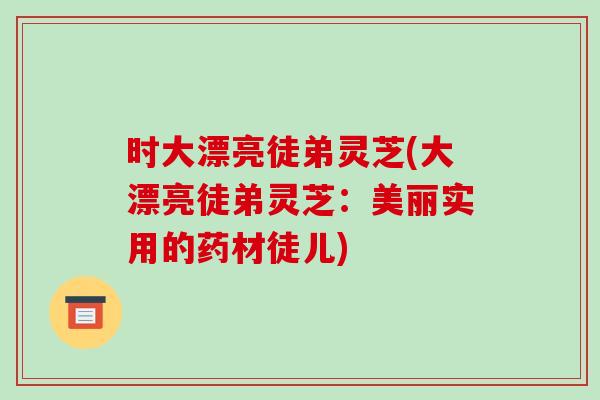 时大漂亮徒弟灵芝(大漂亮徒弟灵芝:美丽实用的药材徒儿)