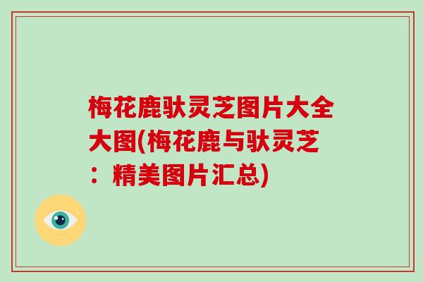 梅花鹿驮灵芝图片大全大图(梅花鹿与驮灵芝:精美图片汇总)
